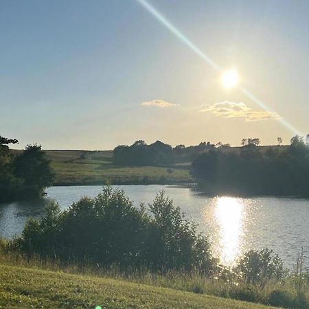 Cuddfan Lodge On A Gorgeous Private Lake 纽波特 外观 照片